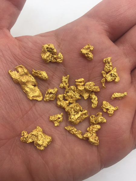 Gold Prospecting in Kalgoorlie
