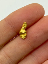 Load image into Gallery viewer, Natural Gold Nugget 0.9 gram