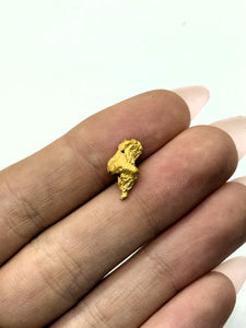 Natural Gold Nugget 2.18 grams