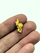 Load image into Gallery viewer, Natural Gold Nugget 2.5 Grams