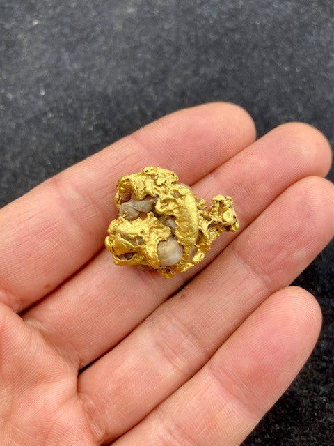 Natural Gold Specimen 25.9 grams total