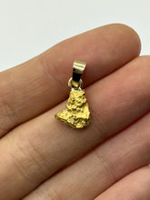 Load image into Gallery viewer, Natural Gold Nugget 3.0 gram Pendant