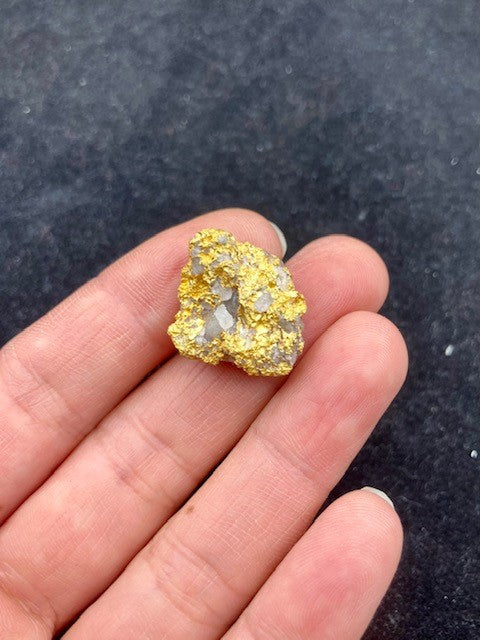 Natural Gold Specimen 16.6 grams total