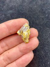 Load image into Gallery viewer, Natural Gold Specimen 16.6 grams total