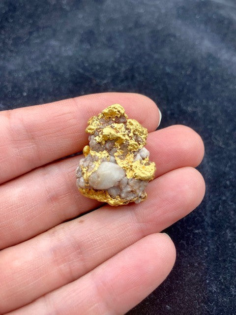 Natural Gold Specimen 22.9 grams total