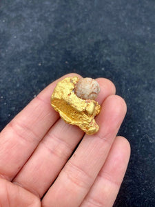 Natural Gold Specimen 43.7 grams total