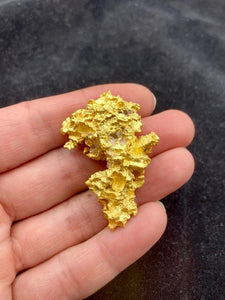 Natural Gold Specimen 41.9 grams total