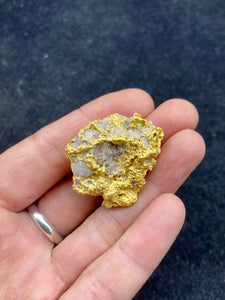 Natural Gold Specimen 67.4 grams total