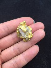 Load image into Gallery viewer, Natural Gold Specimen 32.1 grams total
