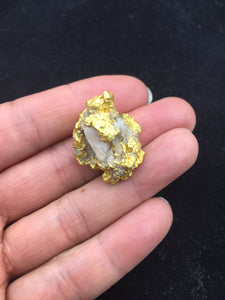 Natural Gold Specimen 32.1 grams total