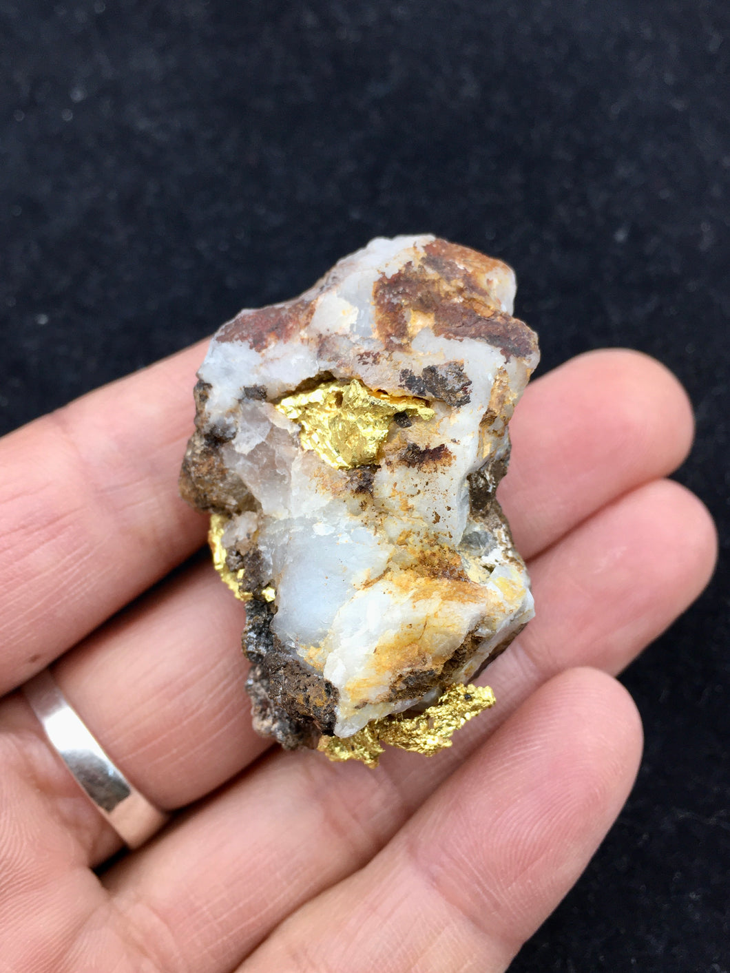 Natural Gold Specimen 50.8 grams total