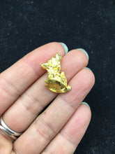 Load image into Gallery viewer, Natural Gold Nugget 12.4 grams