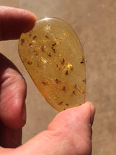 Load image into Gallery viewer, Copal / Amber Colombia