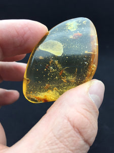 Copal / Amber Colombia