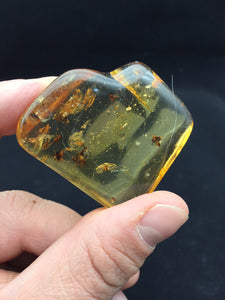Copal / Amber Colombia