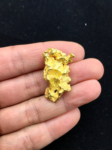Natural Gold Specimen 21.3 grams total