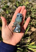 Load image into Gallery viewer, Labradorite Owl